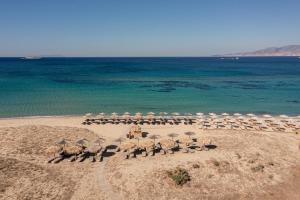 a group of umbrellas and chairs on a beach at Golden Sand in Plaka
