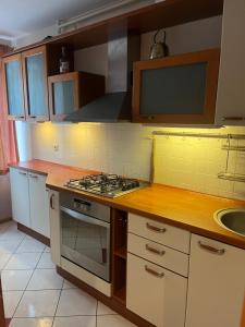 a kitchen with a stove and a sink at Dzirciema apartment in Riga