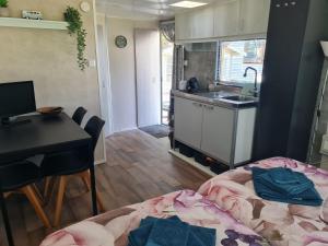 a room with a kitchen and a desk and a bed at de Tweelingen - de Tien Heugten in Schoonloo