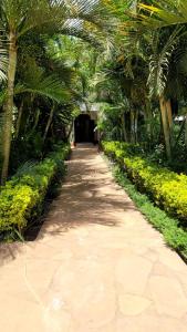 a walkway with palm trees and a pathway at Bustani Tulivu in Bungoma