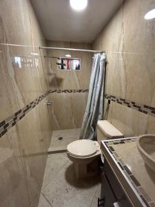a bathroom with a toilet and a shower and a sink at Casa Cantú Estudios A y D in Coronel Esteban Cantú