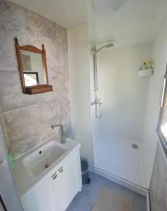 a bathroom with a sink and a toilet and a mirror at de Tweelingen - de Tien Heugten in Schoonloo