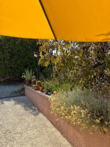 a yellow umbrella over a garden with potted plants at Au Petit Paradis in Balan +6 photos