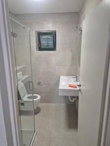 a bathroom with a toilet and a sink and a shower at Kuća za odmor in Brzac +25 photos