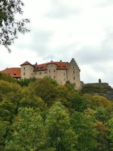 a castle on top of a hill with trees at Ferienwohnung Malbrich in Gräfenberg