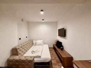 a living room with a couch and a television at Alpine House Mina - Rooms & Apartments in Bled