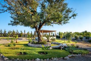 a garden with a tree and a gazebo at Villa de luxe Sakina in Essaouira