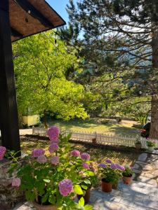 a garden with purple flowers and a fence at Llogara Wood Lodge in Vlorë
