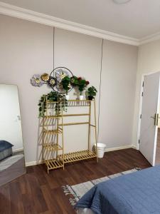 a room with a shelf with plants on it at شقق الفيصل in Al Khobar