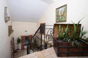 Fotografie z fotogalerie ubytování Park Villa - Boutique Hotel v destinaci Temešvár