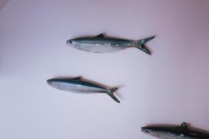 a group of three fish on a white wall at Sünn un See - Weststrand-Blick mit Sauna in Ahrenshoop