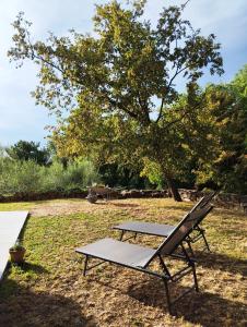 a picnic table and a bench in a field at Apartma Pod Hrastom in Koper