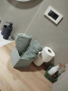 a bathroom with a counter with toilet paper on it at Apartma Pod Hrastom in Koper +15 photos