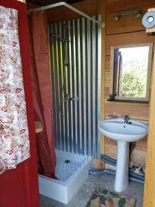 a bathroom with a shower and a sink at Ferme équestre de la Molière in Naves