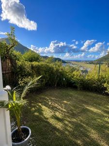 a patio with a potted plant in a yard at Between Caribean Seas in Cul de Sac