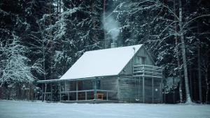 a cabin in the woods with snow on it at Ventlejas in Strakši