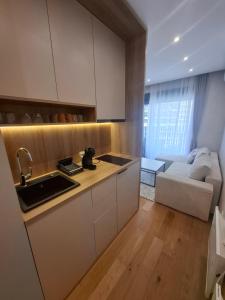 a kitchen with a sink and a couch in a room at Zlatibor 1 Balkan Square in Zlatibor