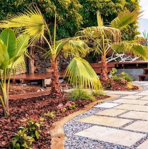 a garden with a bench and some palm trees at Quinta Sao Roque in São Roque