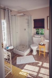 a bathroom with a shower and a toilet at Station House Simondium in Simondium +80 photos