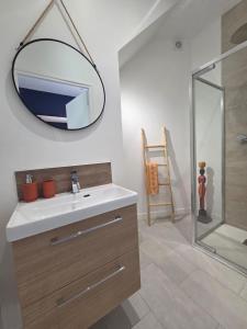 a bathroom with a sink and a mirror at Cyprès des Vignes- L'Ecrin in Hermonville