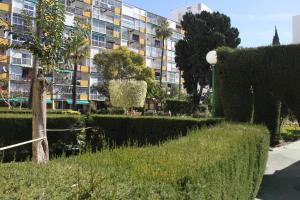 Ogród w obiekcie Bonanza Apartment