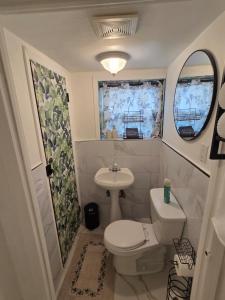 a small bathroom with a toilet and a sink at Tropical Oasis in Rosedale