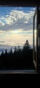 a view from a train window of clouds and trees at Nino apartment in Dvabzu