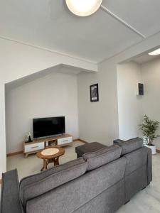 a living room with a couch and a tv at Alizé Mont Choisy in Mont Choisy