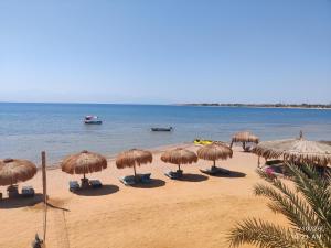 a group of straw umbrellas and chairs on a beach at Mermaid camp in Nuweiba +45 photos