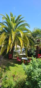 a palm tree and picnic tables in a park at Hotel Beau Rivage in Le Vivier-sur-Mer