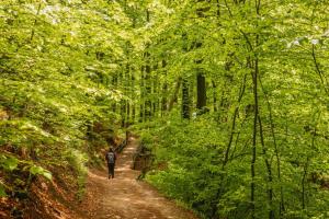 a man walking down a dirt trail in the woods at Cozy & 3 minutes from main square - J in Zagreb