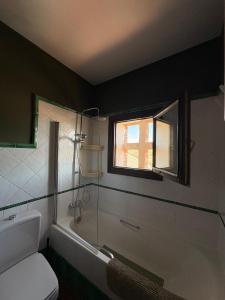 a bathroom with a shower and a toilet and a window at Casa Nectarius in Cifuentes +13 photos
