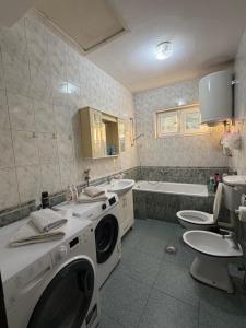 a bathroom with a washer and dryer in it at Apartman Damir in Čeluga +17 photos