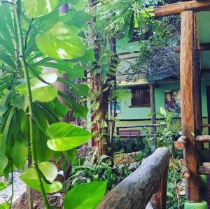 a garden with green plants and a building at Hostal Doña Chava in Pedernales