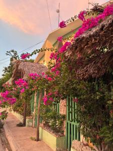a house with pink flowers on the side of it at Hostal Doña Chava in Pedernales