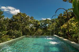 a swimming pool in the middle of a forest at Casa La Torre Hotel Boutique in Trancoso