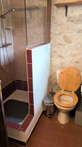 a small bathroom with a toilet and a shower at Le Moulin des Salces in Saint-Privat +36 photos
