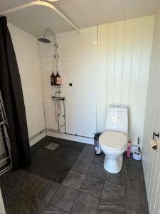 a bathroom with a white toilet in a room at Stuga 1 Lillstugan in Ängelholm +20 photos