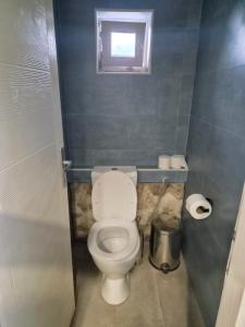 a small bathroom with a toilet and a window at Kamp Kalavat in Vrtovac +12 photos