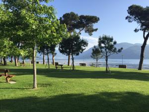 a park with benches and trees in the grass at Mariva in Germignaga