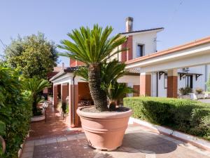 a large plant in a large pot in front of a house at Villa Francesca Luxury Rooms in San Demetrio Corone