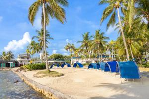 a group of blue chairs on a beach with palm trees at Decameron Marazul - All Inclusive in San Andrés
