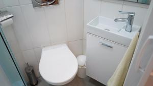 a small bathroom with a toilet and a sink at Apartmani Vela Luka in Vela Luka +30 photos