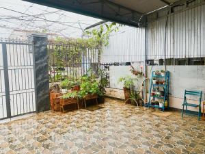 a greenhouse with plants and tables and chairs in it at Mindy s Home in Lien Nghiia