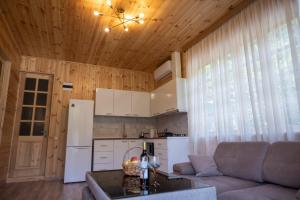 a living room with a couch and a kitchen at Laguna Villa Cottages in Chinkadzeebi