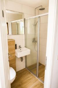 a bathroom with a shower and a sink and a toilet at Srce Baranje in Podolje +34 photos