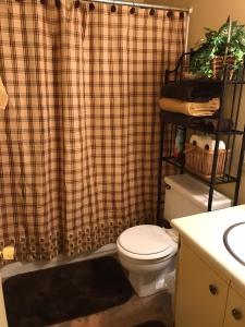 a bathroom with a toilet and a shower curtain at Adair Springs Cabin in Pinetop-Lakeside +45 photos