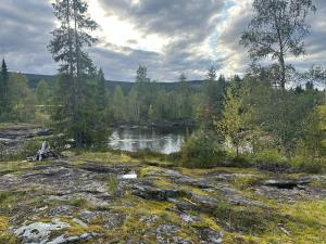 a view of a river with trees in the background at Turifoss Camping Tent pitch in Svedjan