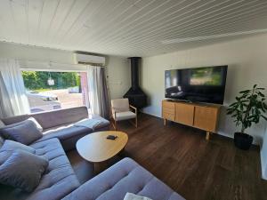 a living room with a couch and a tv and a table at Sandmo Holiday Home 13 in Eckerö