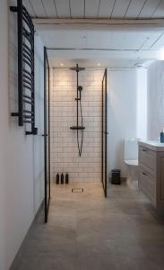 a bathroom with a walk in shower and a toilet at Almeboda in Österlen in Östra Hoby +28 photos